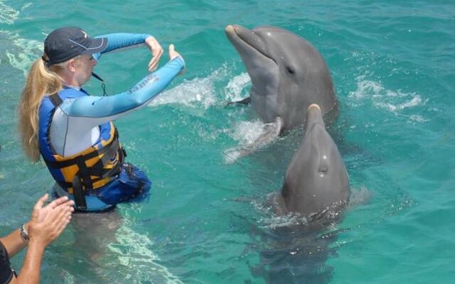 Tours In Mauritius including all Taxi Service