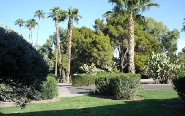 SmokeTree Resort and Bungalows