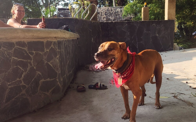 Jungle Fever Koh Chang