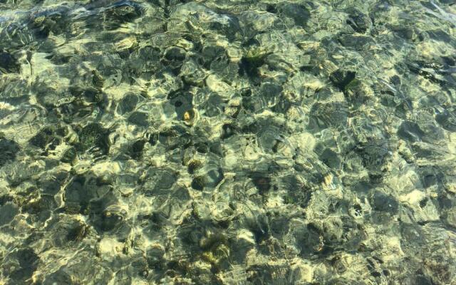 The Fisherman’s House