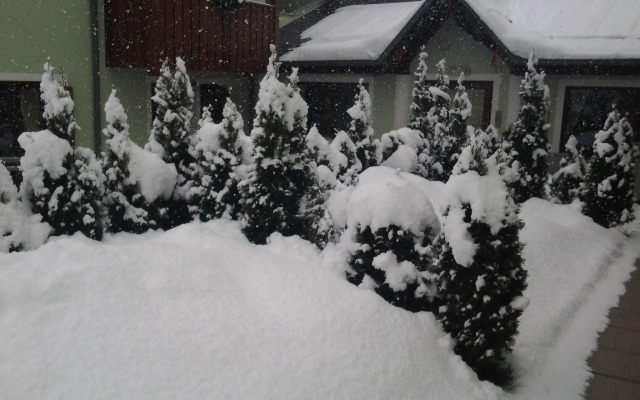 Residence Rta La Rosa delle Dolomiti