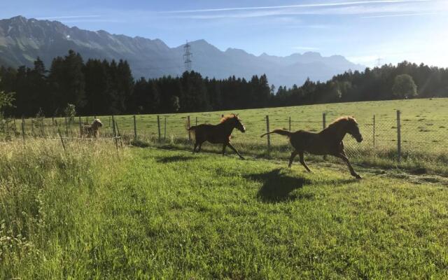 Landhotel Gasthof Eichhof