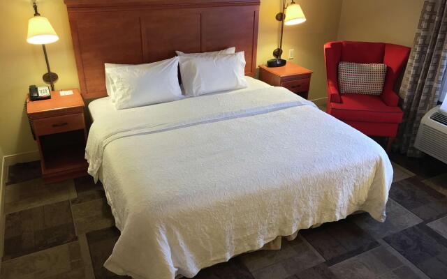 Hampton Inn Garden City