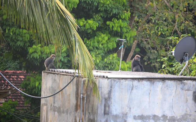 Villa 58 Unawatuna