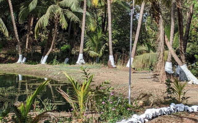 Mango Tree Farm