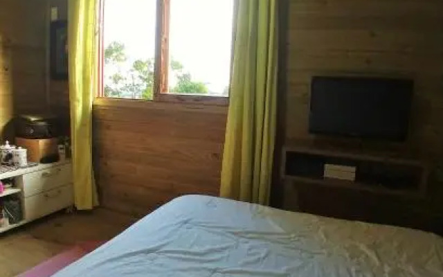 Wood Cabin into the Wild