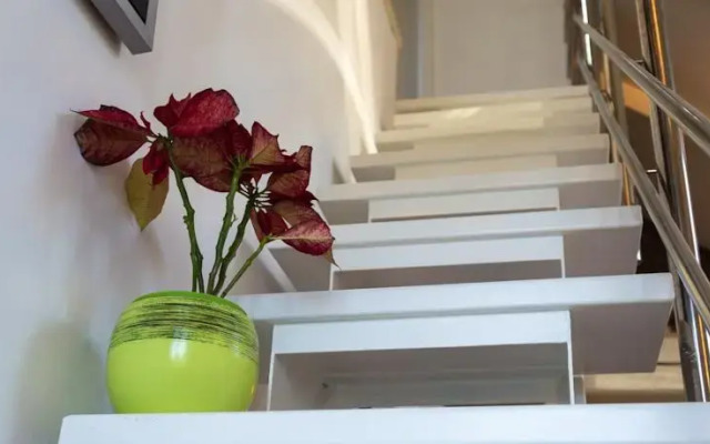 Apartment Beleca 1