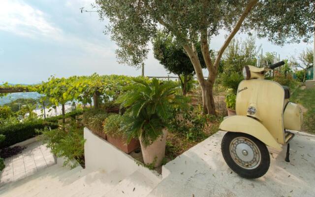 La Casa dell'Ulivo