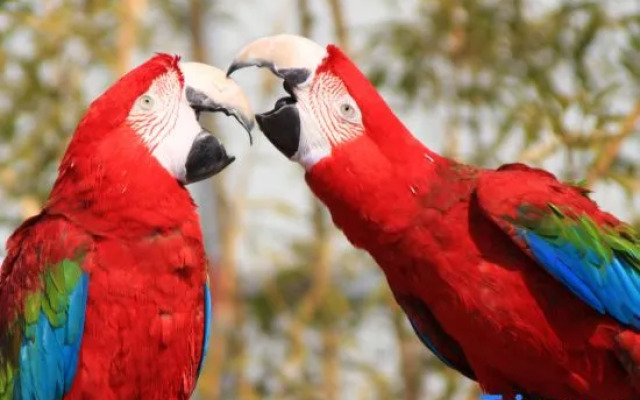 Zhuquan Village Scenic Area Hostel