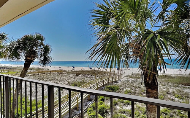 Shipwatch Surf & Yacht #301d