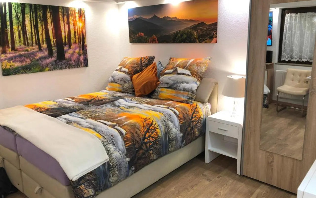 Ferienwohnung Apartment Dettum mit eigenem Bad, Kochnische und Wintergarten