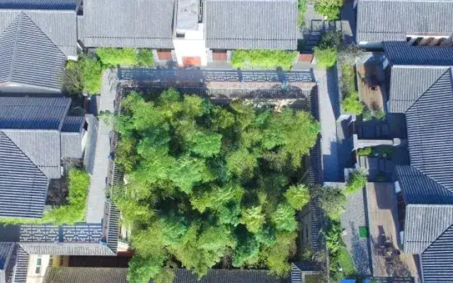 Mount Emei View Hot Spring Soup House