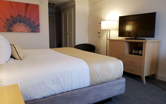 Best Western Plus University Inn
