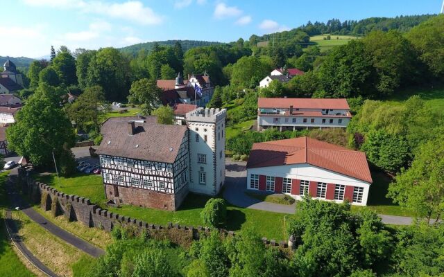 Schloss Buchenau