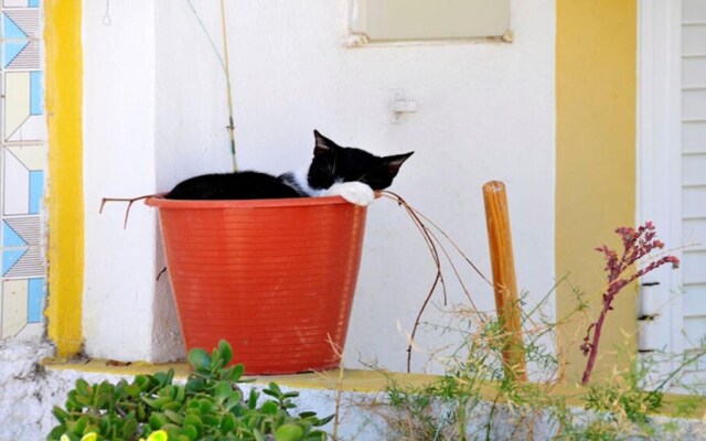 Casa Emma in Carvoeiro