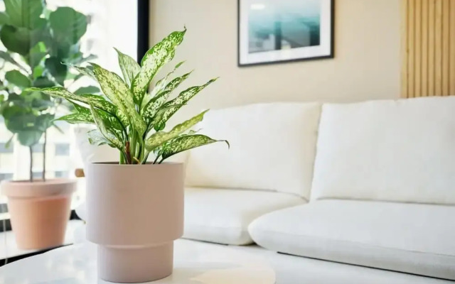 w Cool 1BR in San Francisco