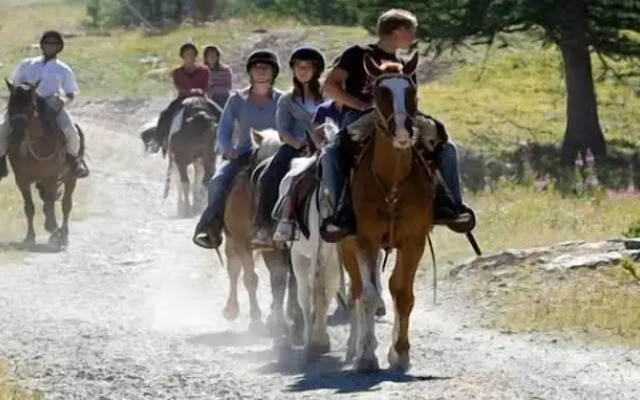 Madame Vacances Les Chalets D'Isola