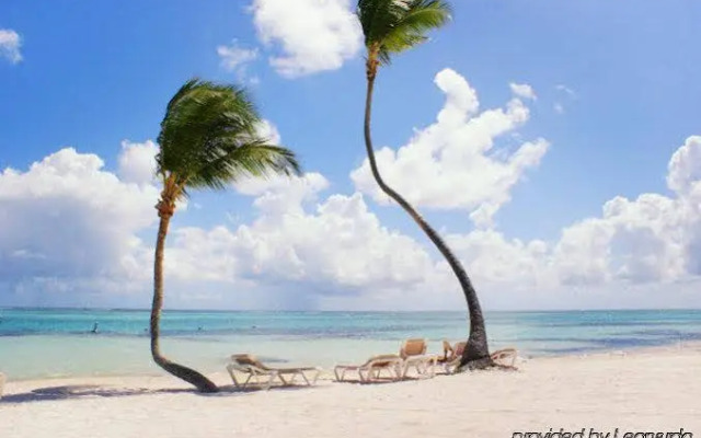 The PUNTACANA Hotel