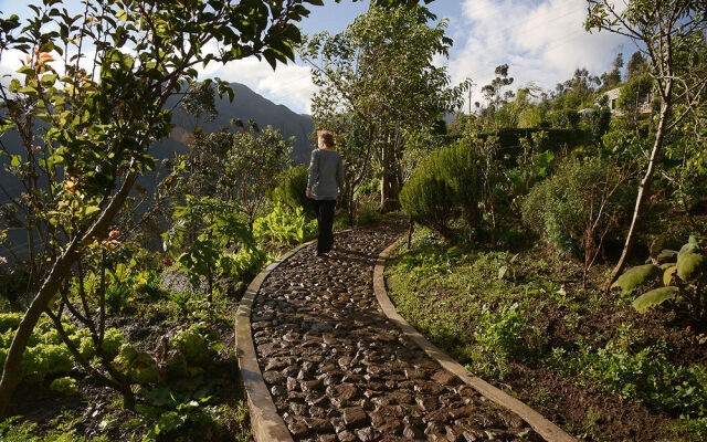 My SachaJi Wellness Ecolodge