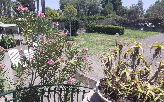 Mama koala beach apartment