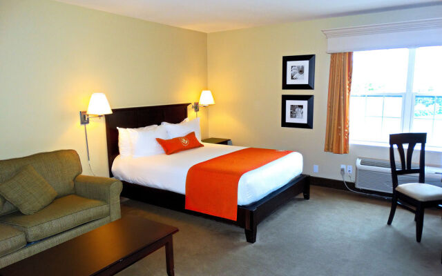 Amsterdam Inn Sussex