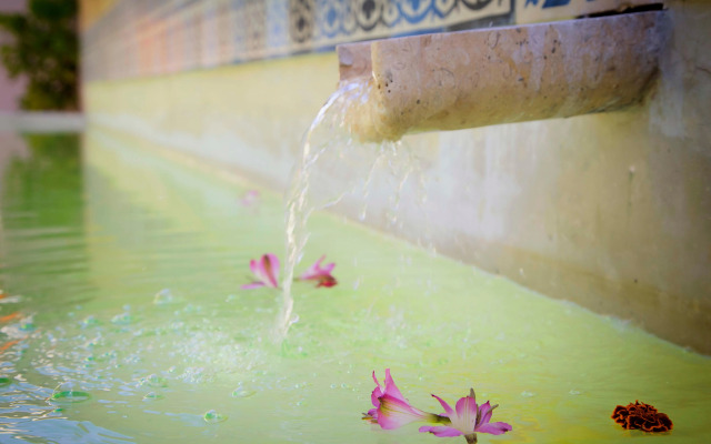 Ya'ax Hotel Boutique