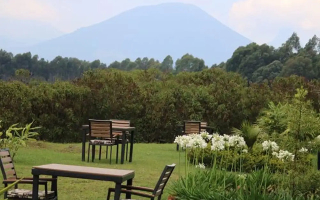 Da Vinci Gorilla Lodge