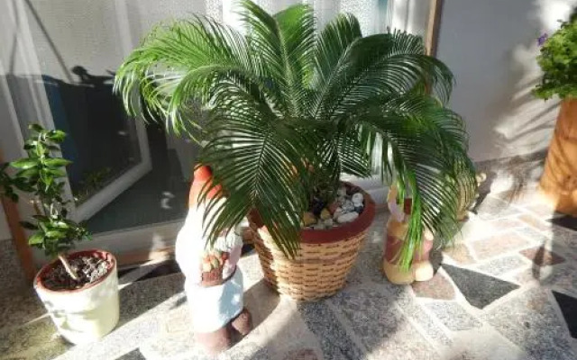 Apartments & Rooms Marinka