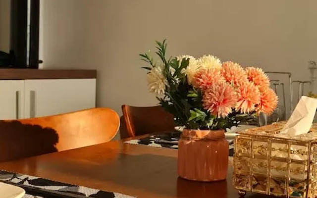 Canh Apartment in Vinhome Skylake