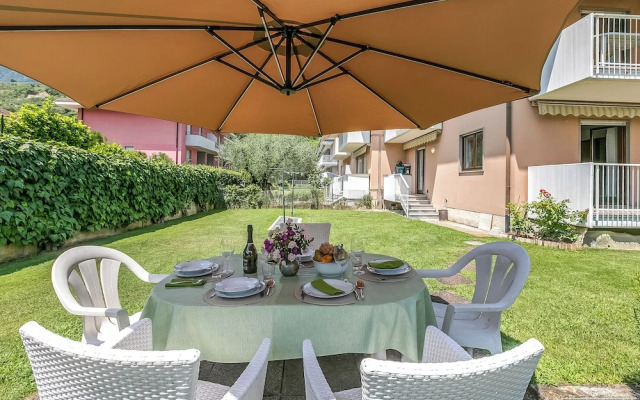 The Olive Tree Garden With Mountain View