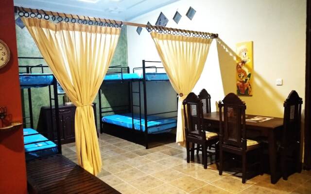 Bunk'd Backpackers Villa - Hostel
