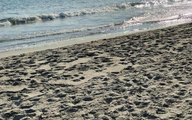 Studio vue port, belle terrasse, piscine