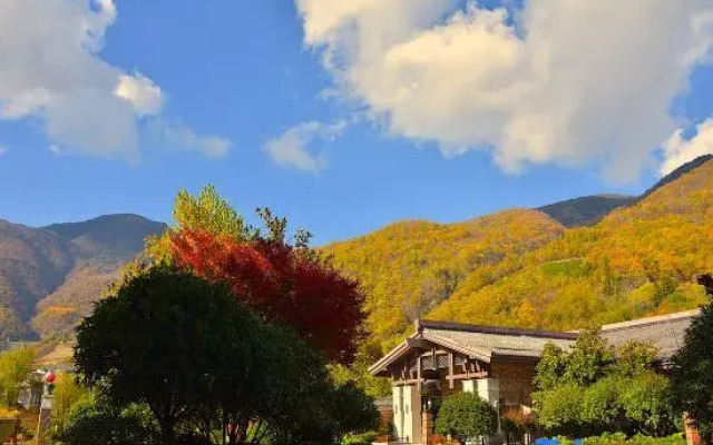 Arcadia International Forest Hotel