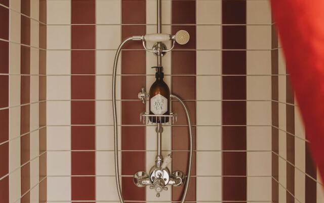 Bellevigne Bourgogne