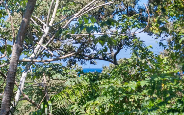 Valley View 2 Bedroom Home