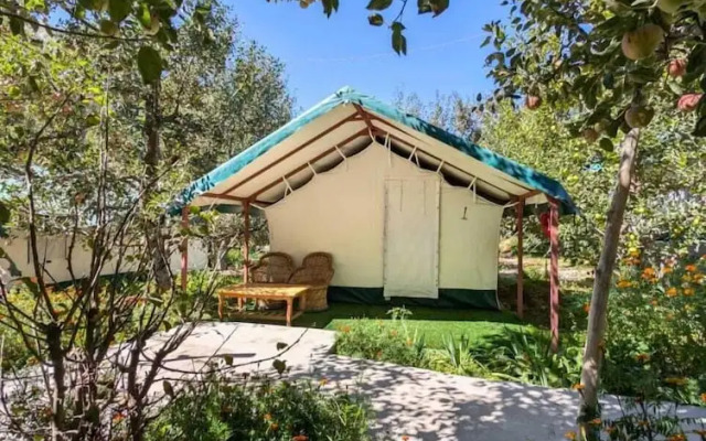 Apple Orchard Farm and Camping