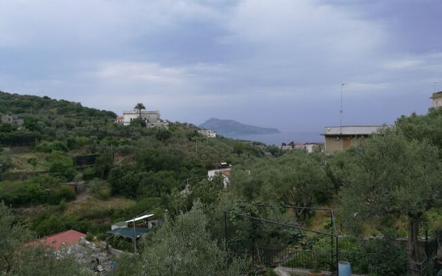 Agriturismo Oleum