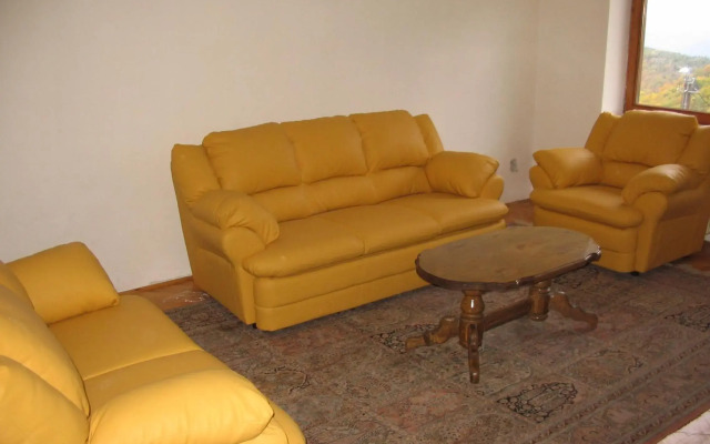 Villa Kostic Kopaonik