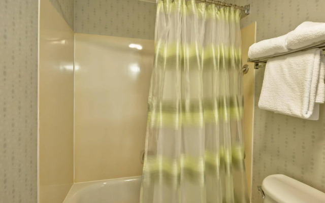 SpringHill Suites by Marriott Austin Round Rock