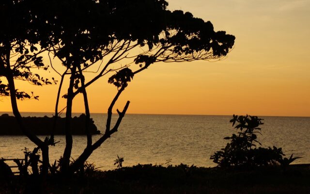 Medano Island Resort