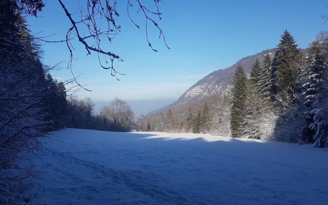 Suite du Lac II
