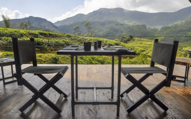 Wild Glamping Knuckles