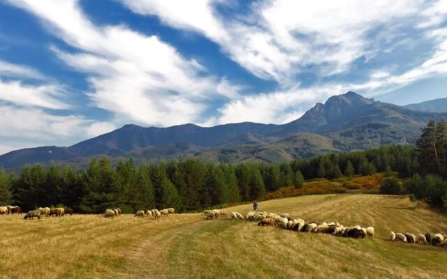 Къща за гости Край реките