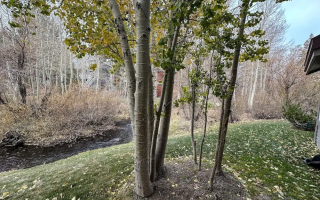 Snowcreek Iv #545 3 Bedroom Condo