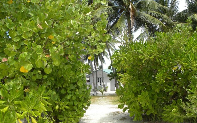 Vaali Beach & Dive Lodge Maldives