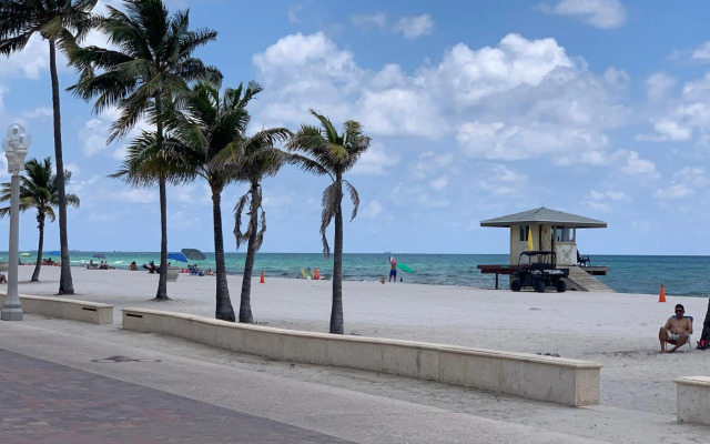 Hollywood Beach Flamingo