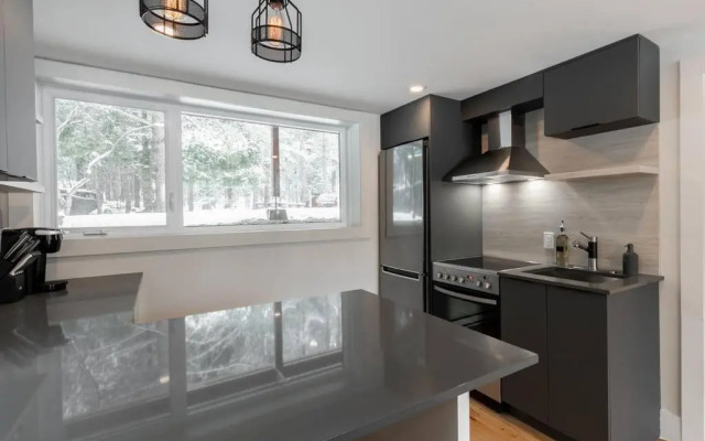 Complexe LIVTremblant by Gestion ELITE - LIV3