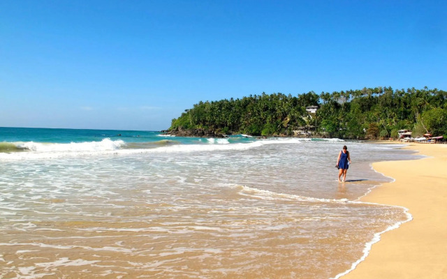 Coconut Hill Homestay