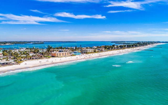 Anna Maria Island Beach Palms 7A