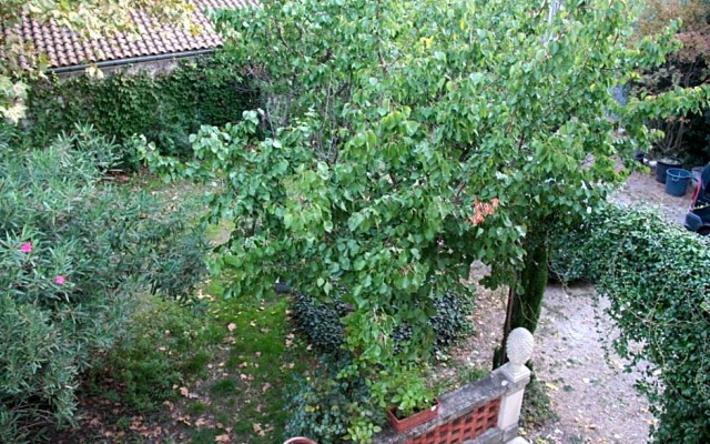 Le Mas des Dames Appartement